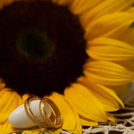 Aqua Palazzo Hotel 4*