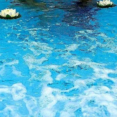 Szálloda Aqua Palazzo 4*